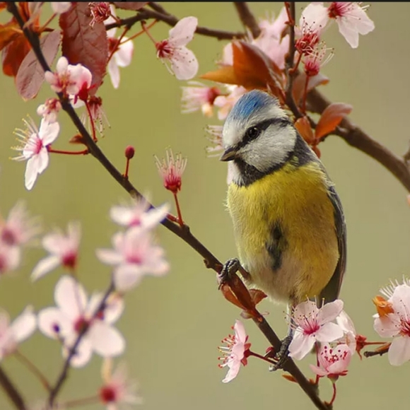 Follow Me, Like, Follow and Share. - Picture 11 of 12